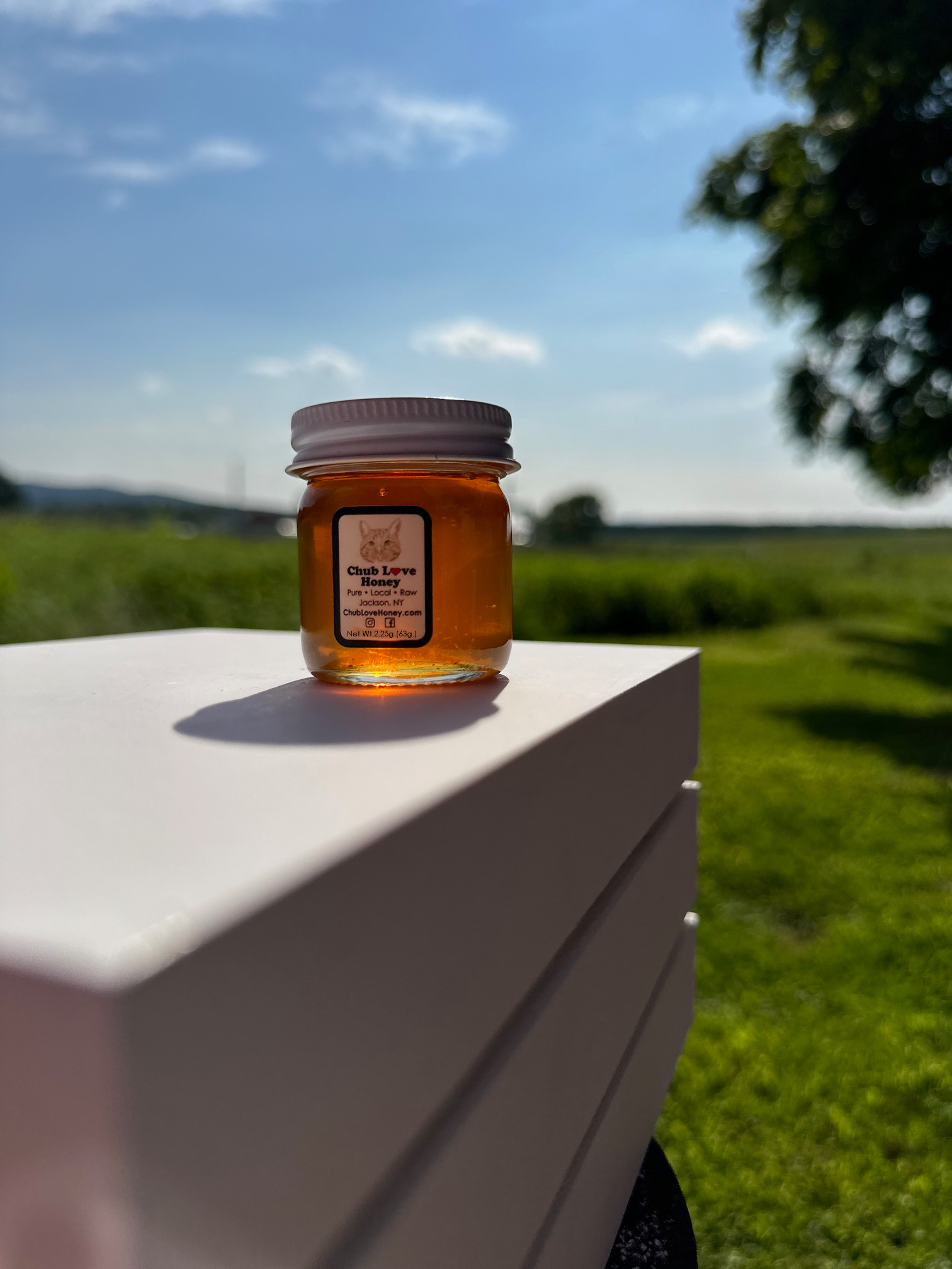 Hot Honey — Chub Love Honey